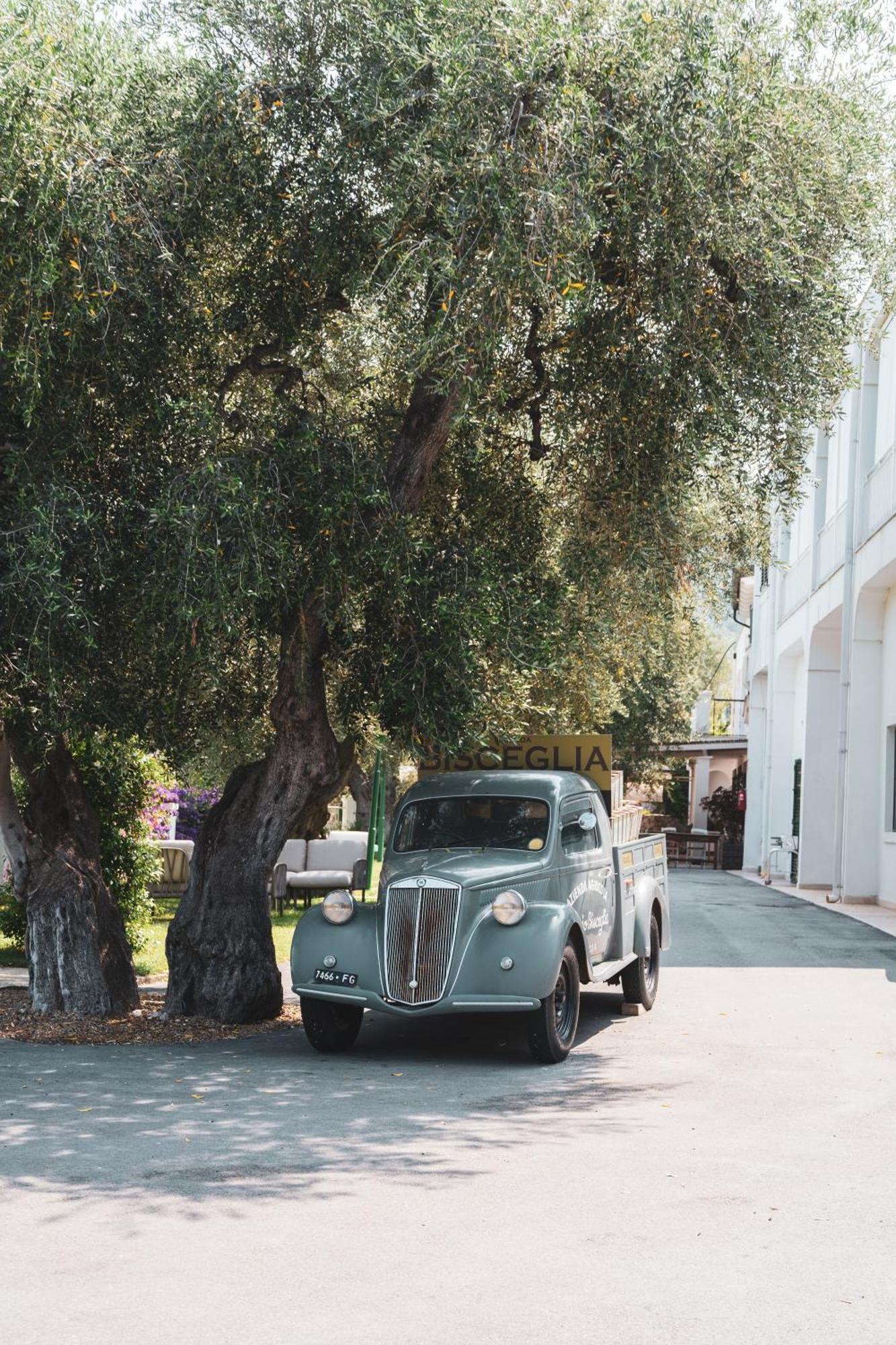 Agriturismo Giorgio マッティナータ エクステリア 写真