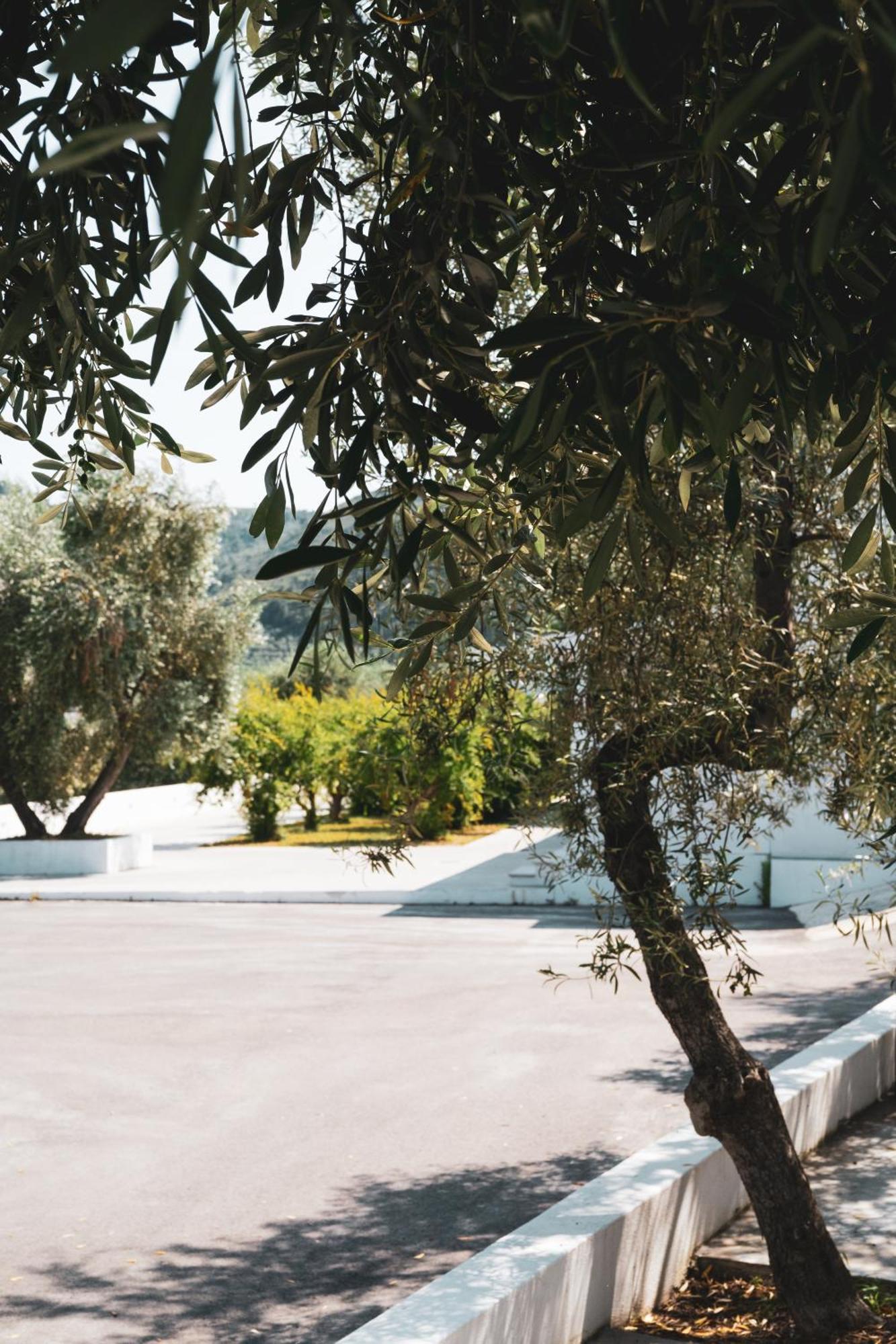 Agriturismo Giorgio マッティナータ エクステリア 写真