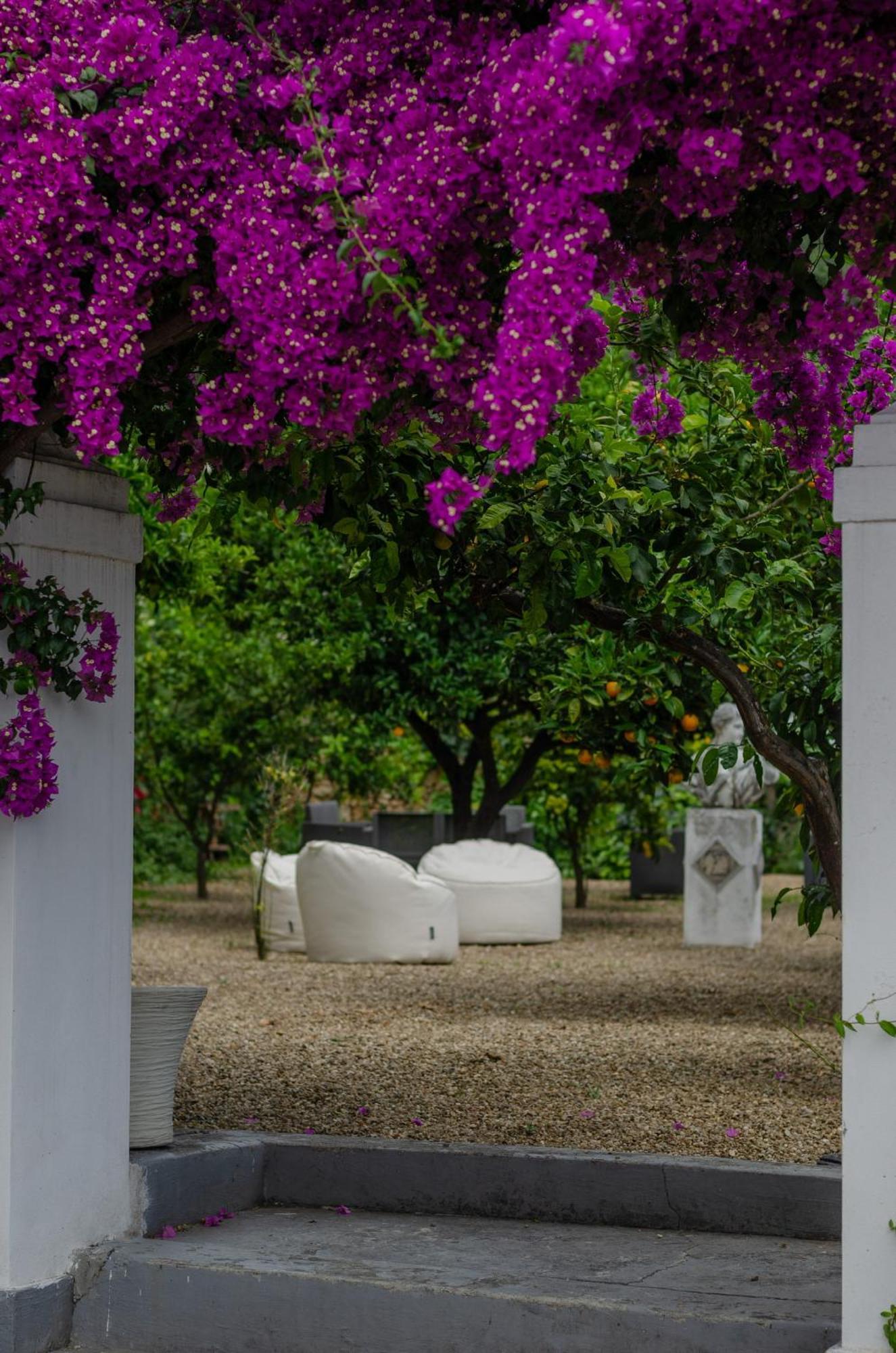Agriturismo Giorgio マッティナータ エクステリア 写真